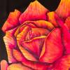 A rose might smell as sweet even in another name